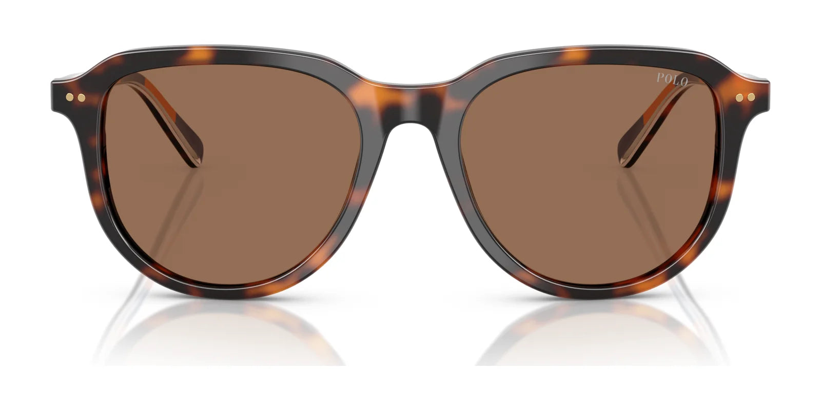 Polo PH4225 Sunglasses | Size 53 Polo PH4225 Sunglasses | Size 53