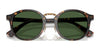 Polo PH4230 Sunglasses | Size 50 / Shiny Black / Dark Grey (3N 12.4%) №500187