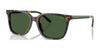Polo PH4235U Sunglasses | Size 54 / Shiny Dark Havana / Bottle Green (3N 9.7%) №500371