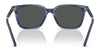 Polo PH4235U Sunglasses | Size 54 / Shiny Black / Dark Grey (3N 12.4%) №500187