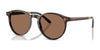 Polo PH4236 Sunglasses | Size 50 / Shiny Dark Havana / Brown (3N 13.3%) №500373