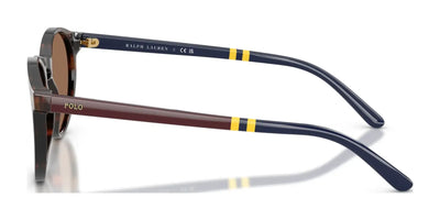 Polo PH4236 Sunglasses | Size 50