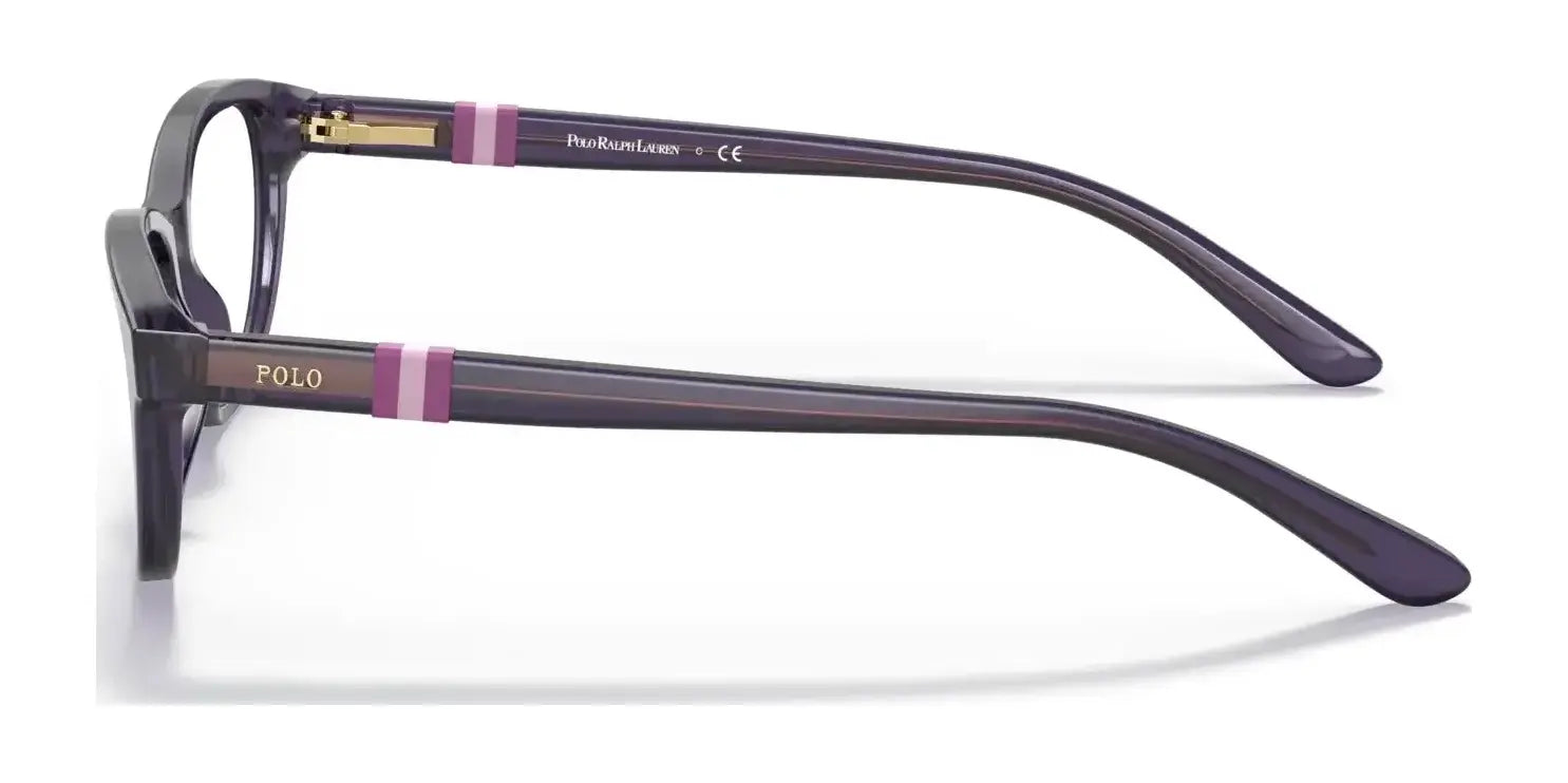 Polo PP8542 Eyeglasses | Size 48 Polo PP8542 Eyeglasses | Size 48
