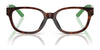 Polo PP8551U Eyeglasses / Shiny Caramel Havana №5003 / Size 45