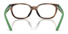 Polo PP8551U Eyeglasses / Shiny Caramel Havana №5003 / Size 45