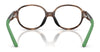 Polo PP8552U Eyeglasses / Shiny Dark Havana №5003 / Size 43