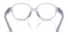 Polo PP8552U Eyeglasses / Shiny Dark Havana №5003 / Size 43