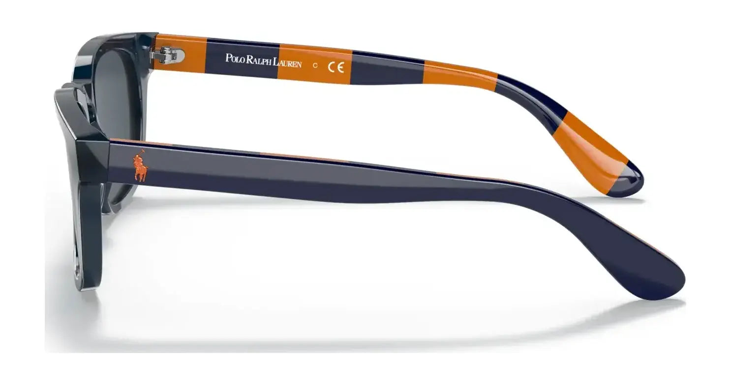 Polo PP9503 Sunglasses | Size 48 Polo PP9503 Sunglasses | Size 48