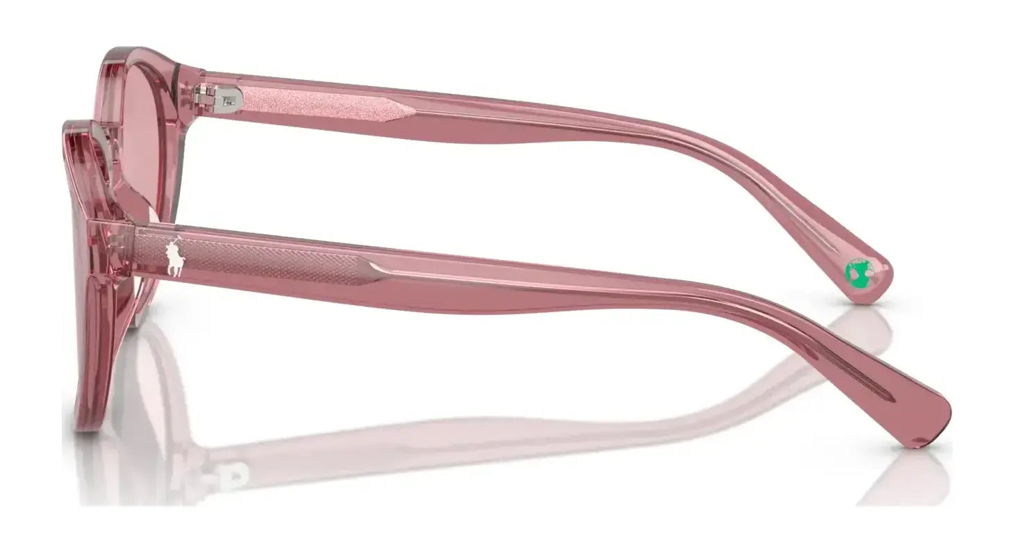 Polo PP9505U Sunglasses Polo PP9505U Sunglasses