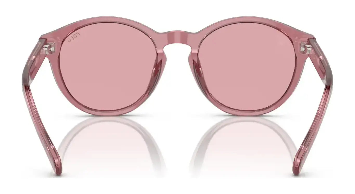 Polo PP9505U Sunglasses Polo PP9505U Sunglasses