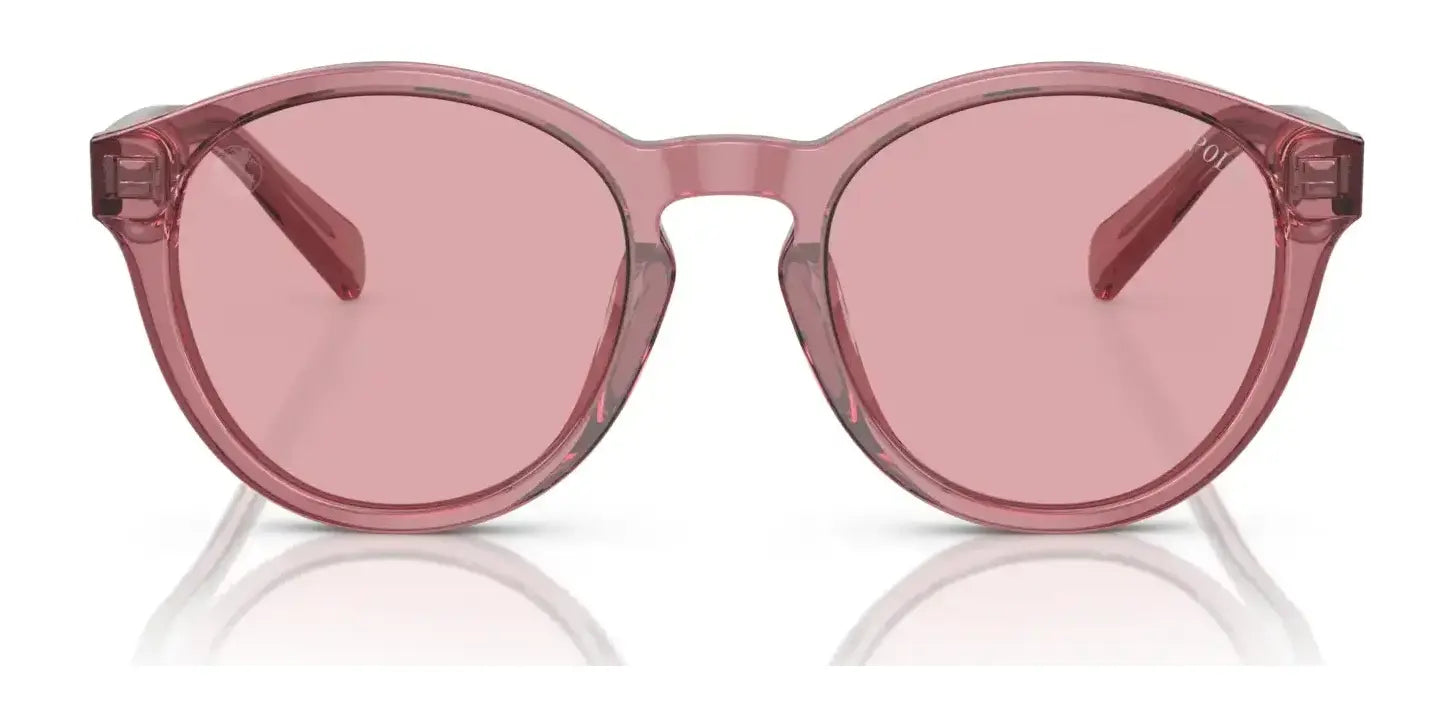 Polo PP9505U Sunglasses Polo PP9505U Sunglasses