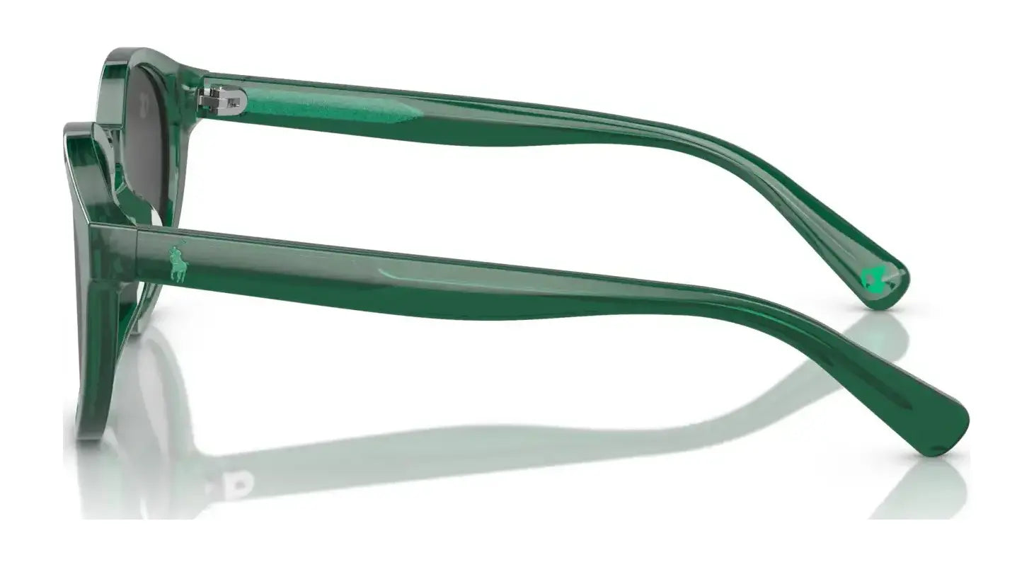 Polo PP9505U Sunglasses Polo PP9505U Sunglasses