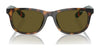 Polo PP9507U Sunglasses | Size 49 / Shiny Havana / Olive Green (3N 12.8%) №500373
