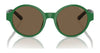 Polo PP9508U Sunglasses | Size 44 / Shiny Dark Havana / Brown (3N 13.3%) №500373