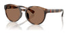 Polo PP9509U Sunglasses | Size 48 / Shiny Dark Havana / Dark Brown (3N 13.3%) №597473
