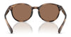 Polo PP9509U Sunglasses | Size 48 / Shiny Dark Havana / Dark Brown (3N 13.3%) №597473