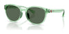 Polo PP9509U Sunglasses | Size 48 / Shiny Transparent Light Green / Dark Green (3N 14.3%) №625071