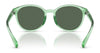 Polo PP9509U Sunglasses | Size 48 / Shiny Dark Havana / Dark Brown (3N 13.3%) №597473