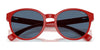 Polo PP9509U Sunglasses | Size 48 / Shiny Dark Havana / Dark Brown (3N 13.3%) №597473