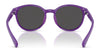 Polo PP9509U Sunglasses | Size 48 / Shiny Dark Havana / Dark Brown (3N 13.3%) №597473