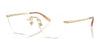 Ralph Lauren RL5134 Eyeglasses / Shiny Pale Gold №9116 / Size 54