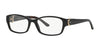 Ralph Lauren RL6056 Eyeglasses | Size 53 / Shiny Black №5001