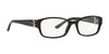 Ralph Lauren RL6056 Eyeglasses | Size 53 / Shiny Black №5001