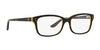 Ralph Lauren RL6062 Eyeglasses | Size 52 / Shiny Dark Havana On Red №5255