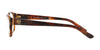 Ralph Lauren RL6148 Eyeglasses | Size 53 / Shiny Havana Jerry №5017