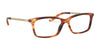 Ralph Lauren RL6198 Eyeglasses | Size 53 / Shiny Striped Havana №5007