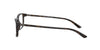 Ralph Lauren RL6201 Eyeglasses / Shiny Dark Havana №5003 / Size 56