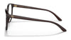 Ralph Lauren RL6222 Eyeglasses / Shiny Dark Havana №5003 / Size 54