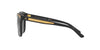 Ralph Lauren RL8150 Sunglasses / Black №500187 / Dark Gray (3N 10%) / Size 56