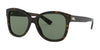 Ralph Lauren RL8180 Sunglasses | Size 54 / Shiny Dark Havana №500371 / Green (3N 14.0%)
