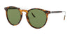 Ralph Lauren RL8181P Sunglasses | Size 53 / Shiny Antique Havana / Green (2N 22.56%) №52494E