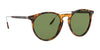 Ralph Lauren RL8181P Sunglasses | Size 53 / Shiny Black / Solid Purple (Polarized) (3P 13.24%) №50011A