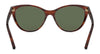 Ralph Lauren RL8186 Sunglasses | Size 55 / Shiny Striped Havana / Bottle Green (3N 9.7%) №500771