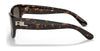 Ralph Lauren RL8193 Sunglasses | Size 56 / Shiny Dark Havana №500373 / Brown (3N 14.5%)