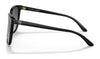 Ralph Lauren RL8201 Sunglasses | Size 56 / Shiny Black / Gradient Grey (3N 13%) №50018G