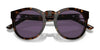 Ralph Lauren RL8204QU Sunglasses | Size 50 / Shiny Black / Dark Green (3N 9.4%) №500171
