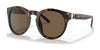 Ralph Lauren RL8204QU Sunglasses | Size 50 / Shiny Dark Havana / Dark Brown (3N 14.5%) №500373