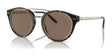 Ralph Lauren RL8210 Sunglasses Havana / Brown Ralph Lauren RL8210 Sunglasses Havana / Brown