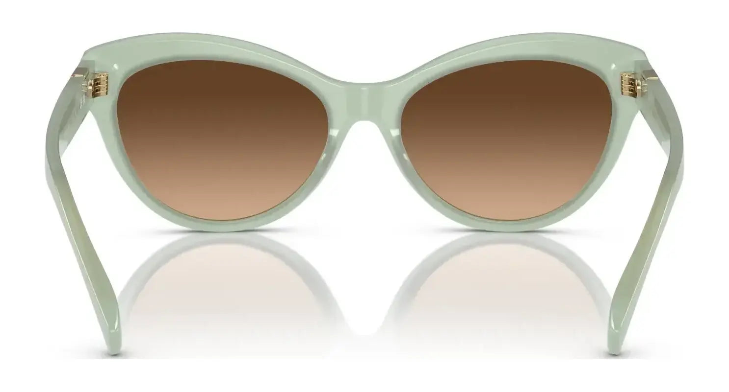 Ralph Lauren THE BETTY RL8213 Sunglasses | Size 56 Ralph Lauren THE BETTY RL8213 Sunglasses | Size 56