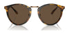 Ralph Lauren THE QUINCY RL8223 Sunglasses | Size 53 / Antique Havana / Brown (3N 13%) №513453