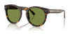 Ralph Lauren RL8229U Sunglasses | Size 50 / Dark Havana / Solid Green (2N 29.0%) №50034E