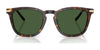 Ralph Lauren RL8233U Sunglasses | Size 53 / Antique Havana / Purple (3N 14.3%) №51341A