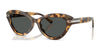 Ralph Lauren RL8236U Sunglasses | Size 54 / Spotty Havana / Grey (3N 11%) №617887