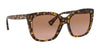 Ralph RA5265 Sunglasses | Size 55 / Shiny Sponged Havana / Light Brown Gradient Dark Brown (2N 25.5%) №583613