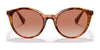 Ralph RA5273 Sunglasses | Size 53 / Shiny Pinot Grigio №57562L / Gradient Amber (2N 23.8%)