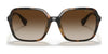 Ralph RA5291U Sunglasses | Size 56 / Shiny Dark Havana / Gradient Brown (3N 16%) №500313